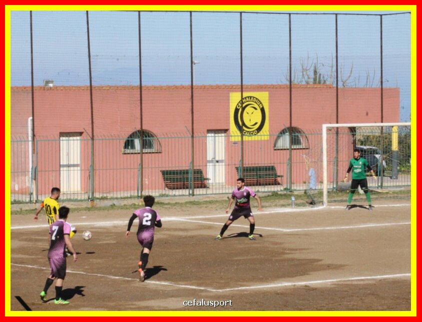 190310 Cephal_Torrenov 060_tn.jpg